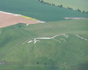 white_horse_from_air